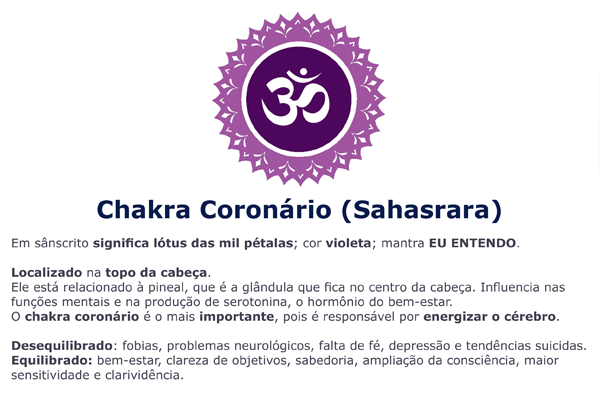 Reiki-tudo-o-que -você-precisa-saber-Chakra-Coronario-Sahasrara